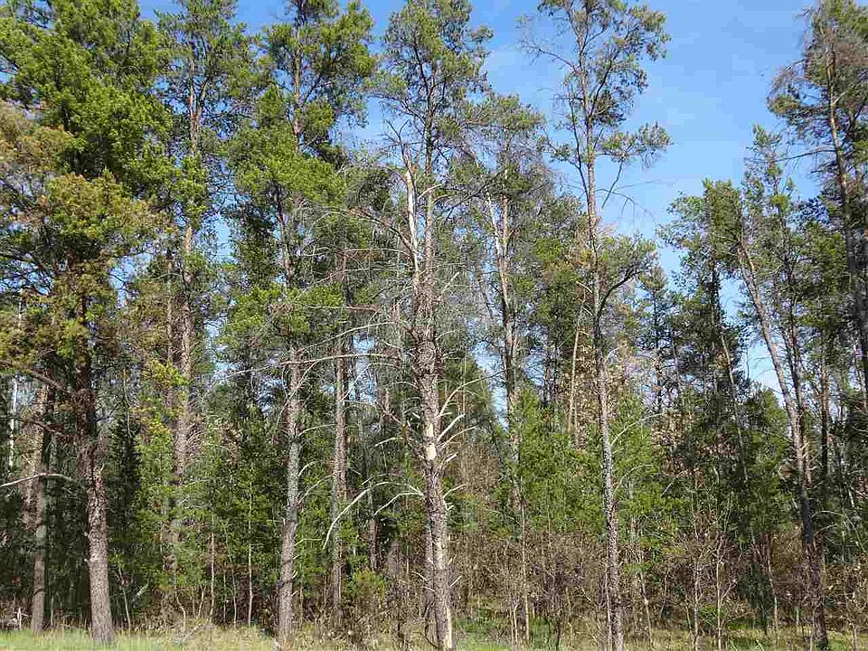 1st image of LOT 1 Lot 1 Highway 80