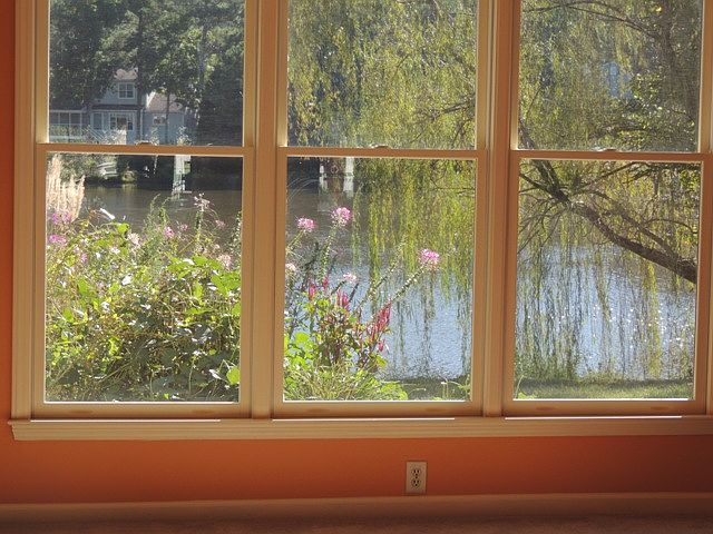 Lake view from living room 