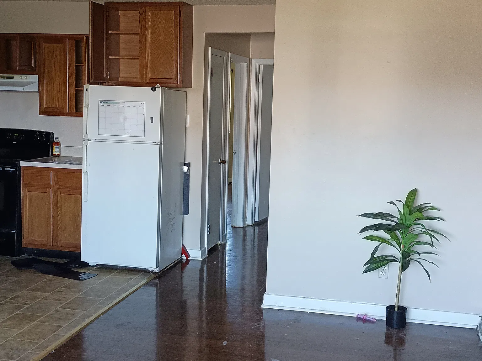 2 bed, 800 sqft, $1,450 — Photo 3