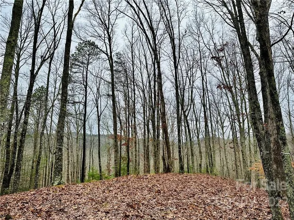 921 Wild River Run #33, Marshall, NC 28753