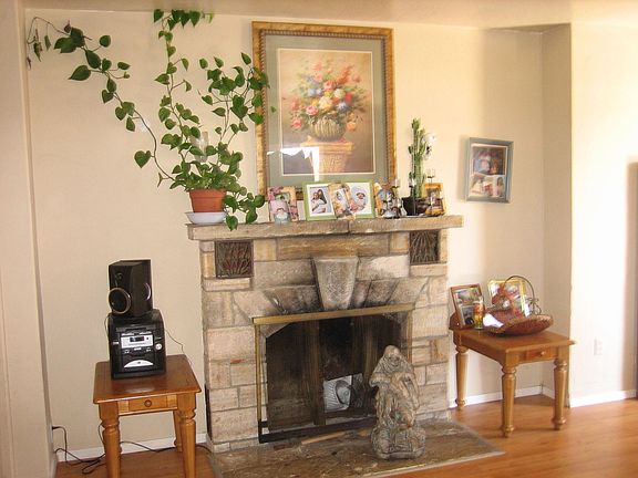 Family Rm Fireplace