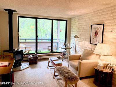 332 Vine St, Aspen, CO, 81611