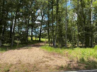 TRACT X3D2 Highway 955 E, Ethel, LA 70730