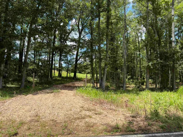 TRACT X3D2 Highway 955 E, Ethel, LA 70730