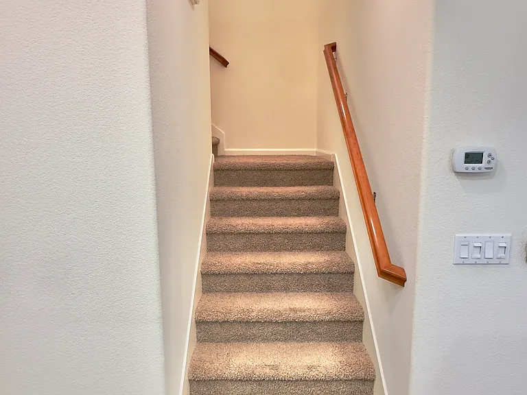 209 Blossom Rock Ln — Photo 10