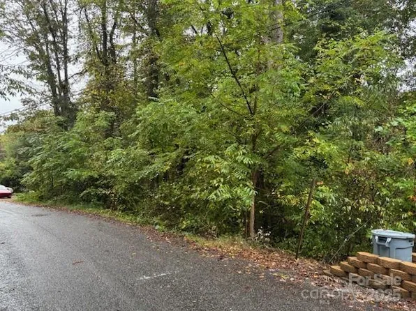 0 White Dogwood Ln, Lake Junaluska, NC 28745