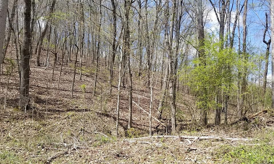 1st image of 286 Maple Dr Lot 286