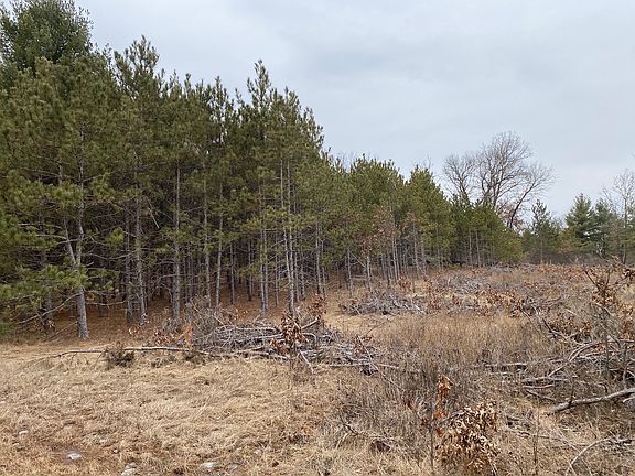 4th image of 207 State Highway 13 Lot Wp001
