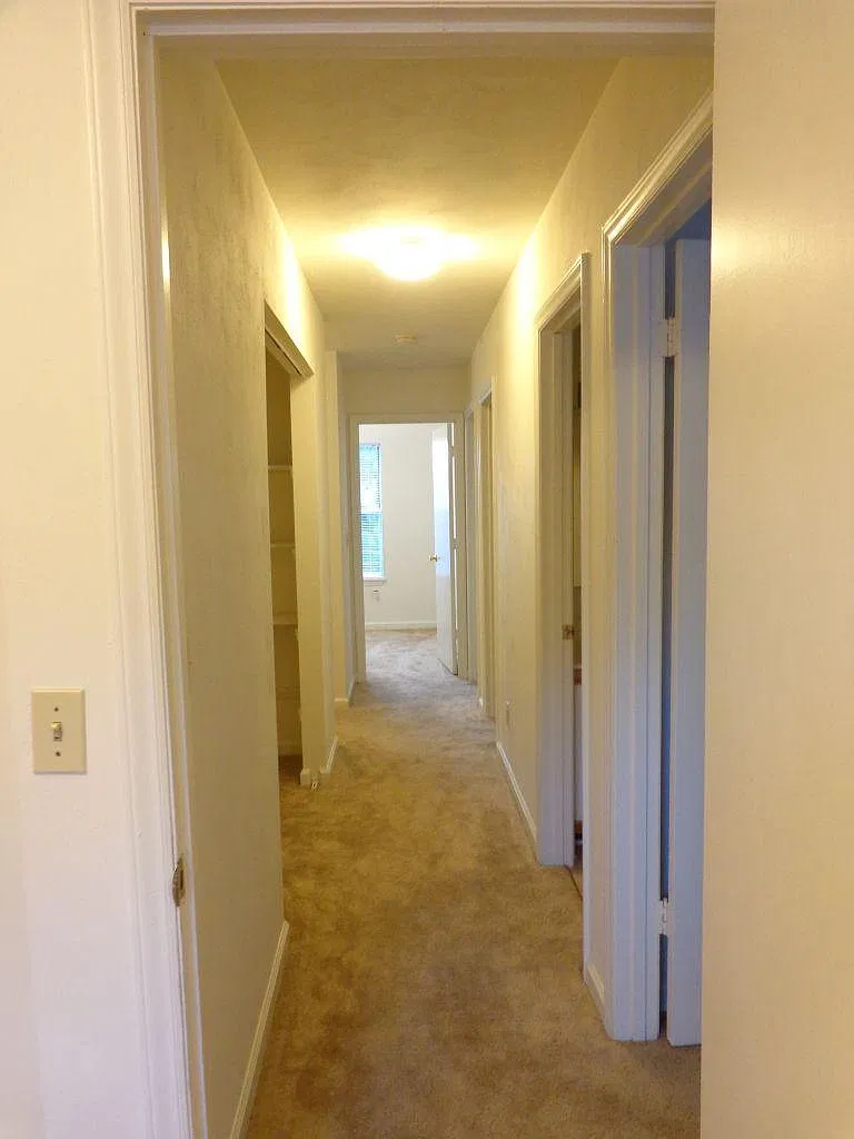 219 Janie Ln — Photo 2