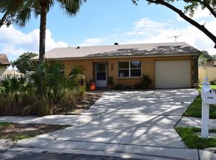 1908 Saginaw Ct, Oldsmar, FL 34677