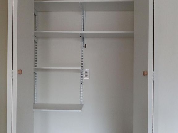 Storage and closet in living room