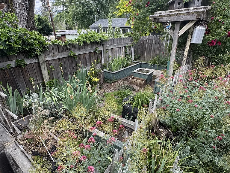 905 Oak St — Photo 14