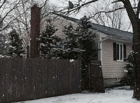 2nd image of 95 Tree Rd