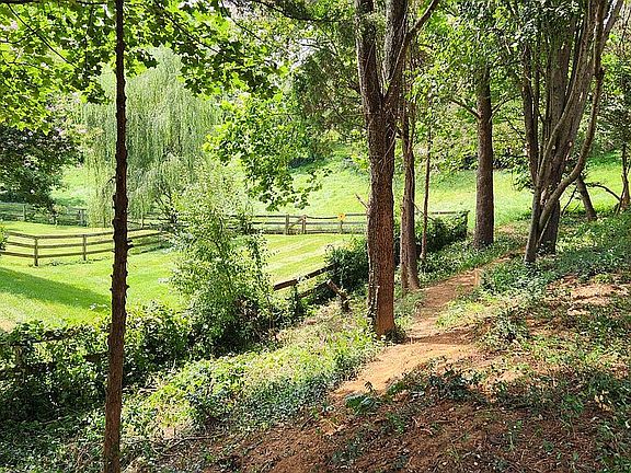 Wooded side yard with mature shade trees