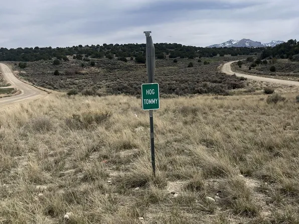 Lower Lamoille Hog Tommy Rd, Spring Creek, NV 89815