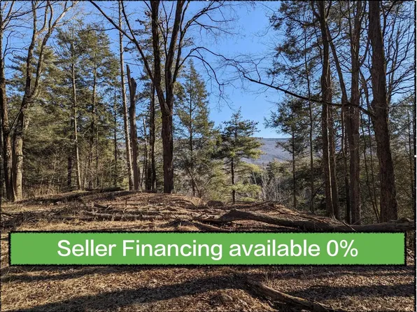 0 Lundy Road, Wawarsing, NY 12489