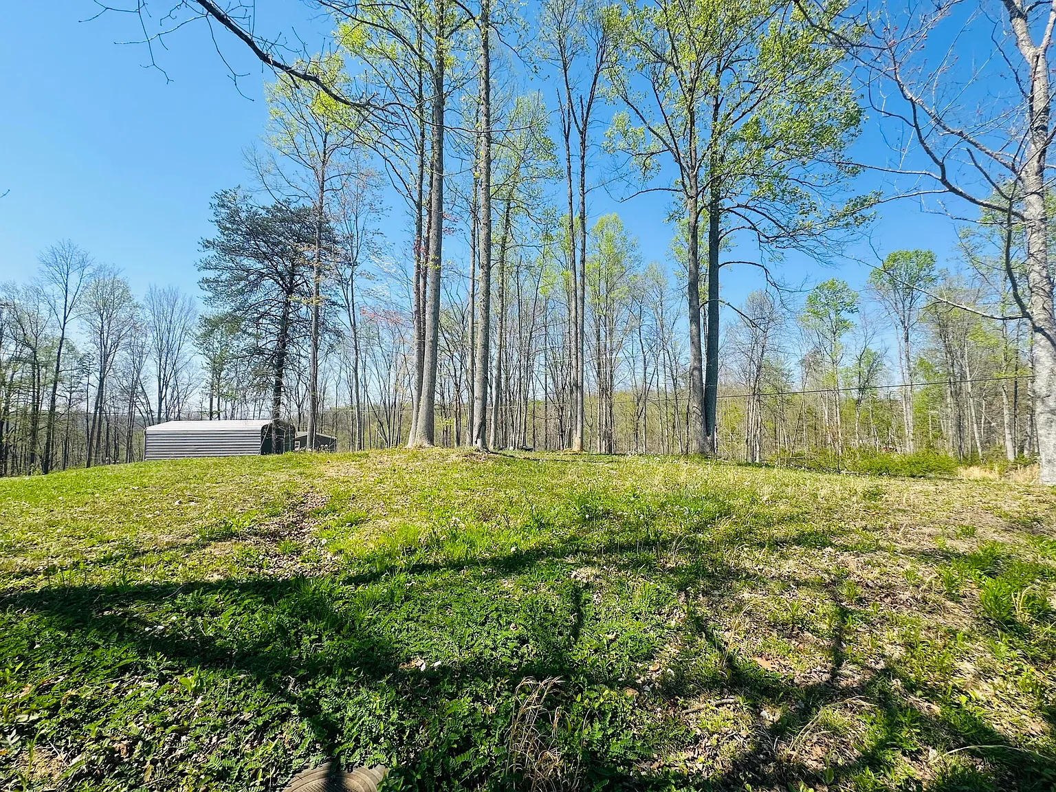111 Sycamore Rd photo 1