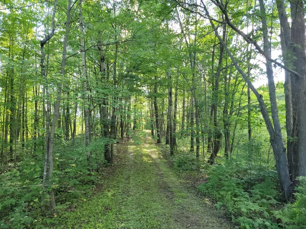 53065 Sjodahl Rd, Sandstone, MN 55072