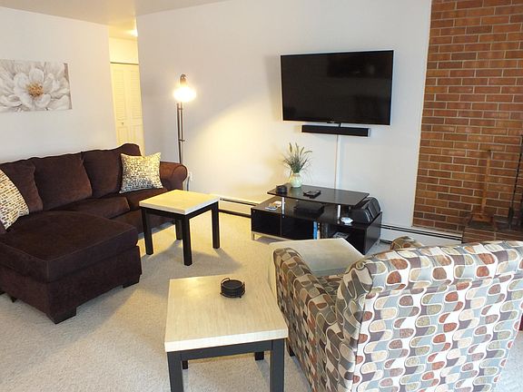 Flat screen tv. Pull out couch.