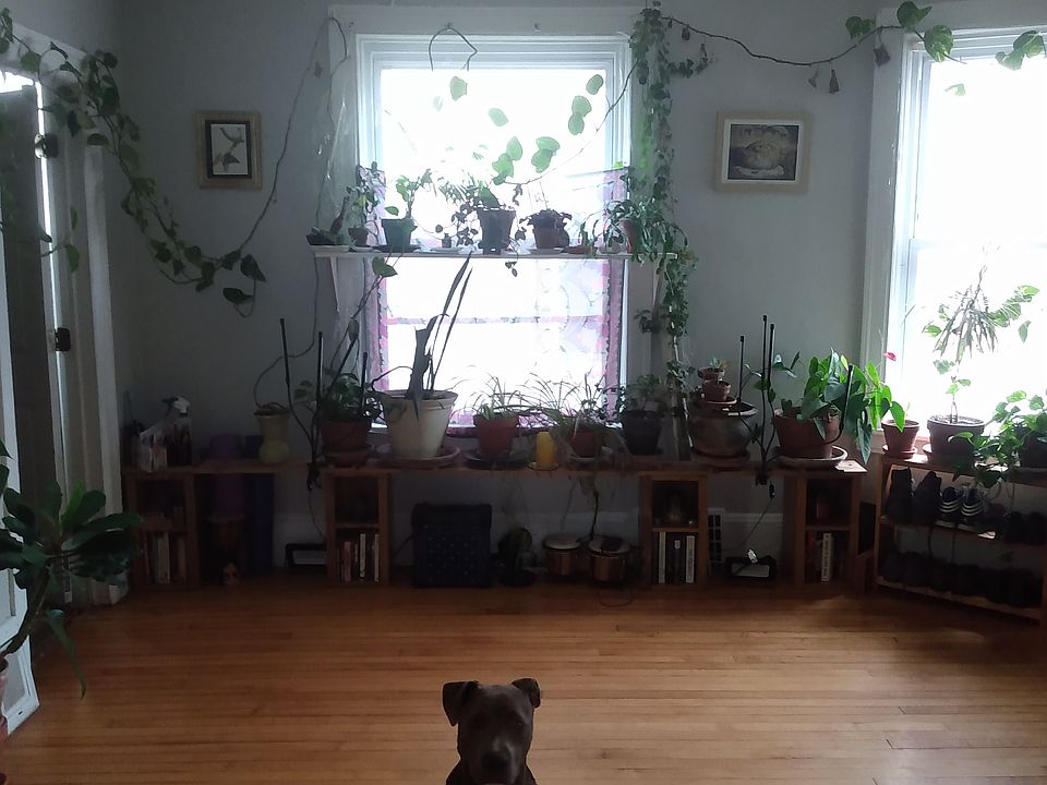 living room without furniture