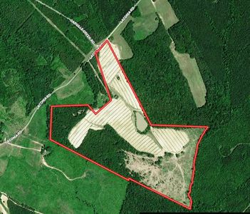 Laconia Rd, Red Oak, VA, 23964