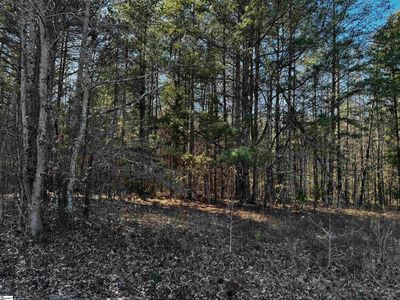 0 Corner Rd, Belton, SC, 29627
