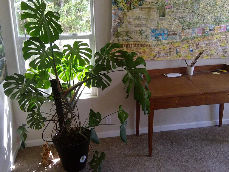 510 Spruce St — Photo 3