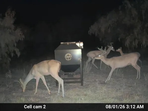 County Road 239, Afton, TX 79220