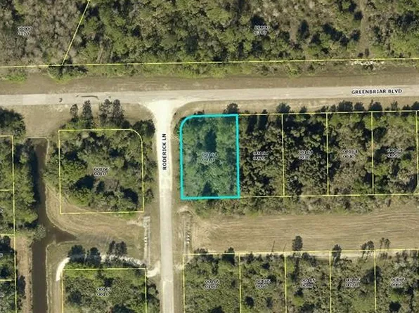 513 Greenbriar Blvd, Lehigh Acres, FL 33972
