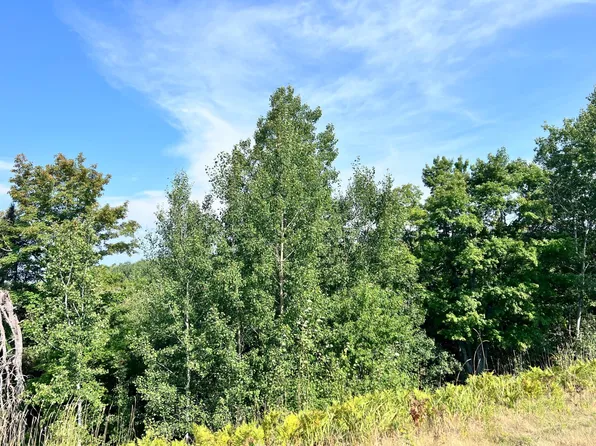 On Hwy #17, Phelps, WI 54554