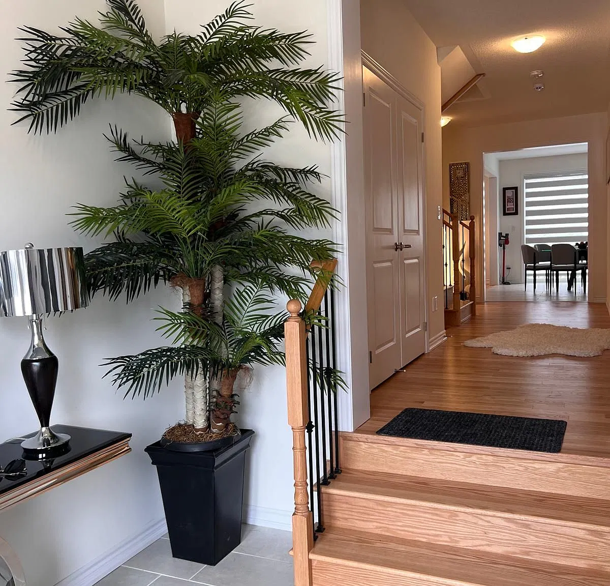 5 bed, $3,000 — Photo 1