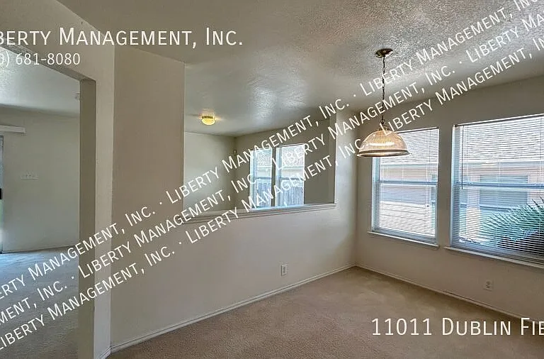 11011 Dublin Fld — Photo 8