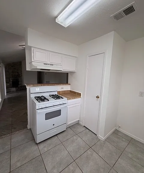 3119 Trembling Creek Cir — Photo 4