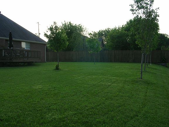 Back yard
