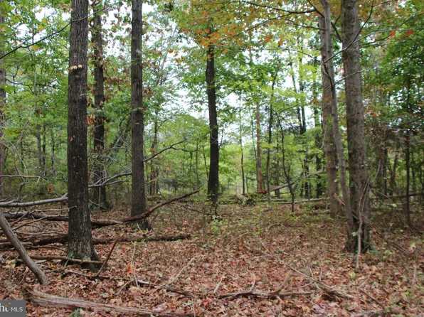 0 Hunter Rd, Maurertown, VA 22644