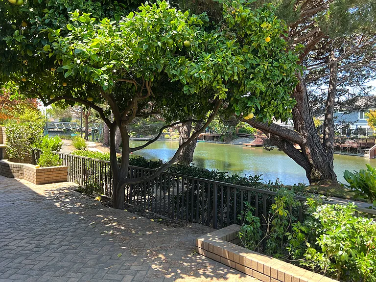 29 Sea Brg — Photo 50