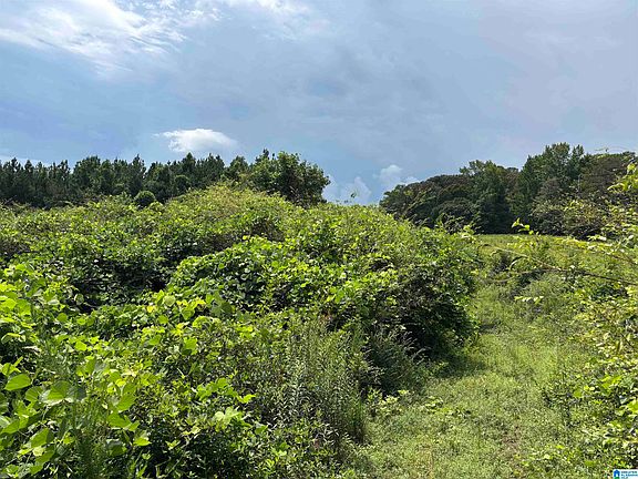 5th image of County Road 65 #1