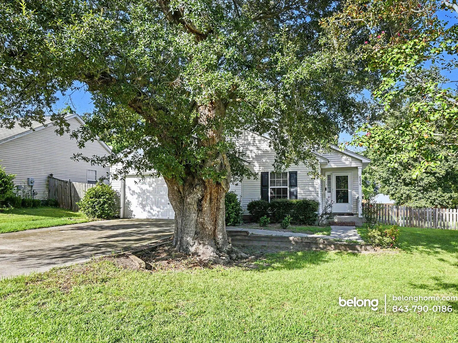 3 bed, 2.0 bath, 1648 sqft, $2,195 — Photo 2
