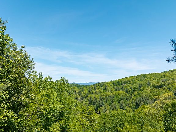 14th image of 321 Woods Mountain Trail