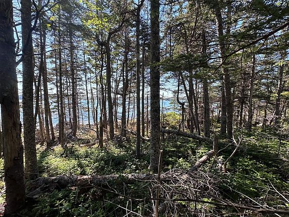 4th image of Stewarts Point Rd Lot 3