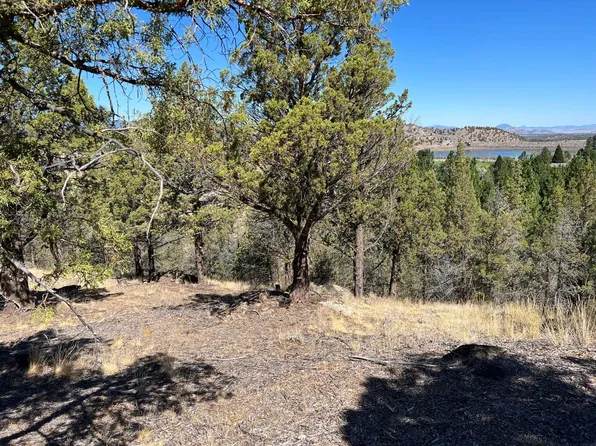 Unit 1 Harbor Vw Lot 180, Weed, CA 96094