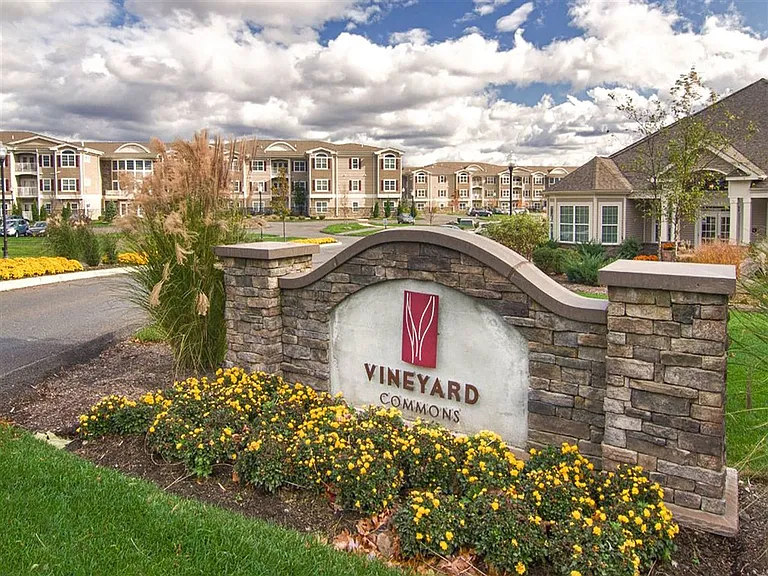 Vineyard Commons — Photo 30