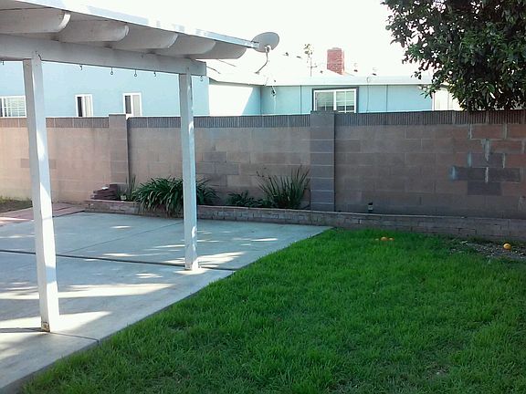 Backyard with fruit trees