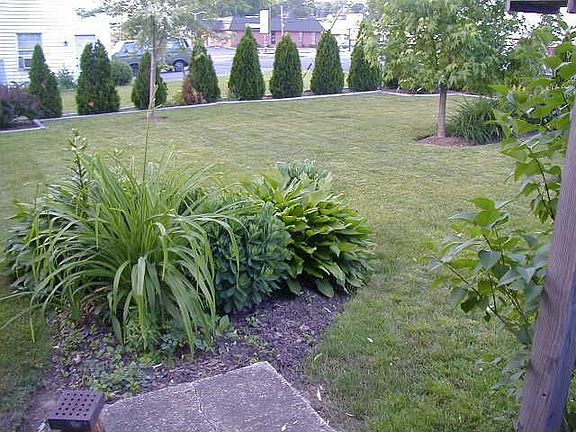 side yard area