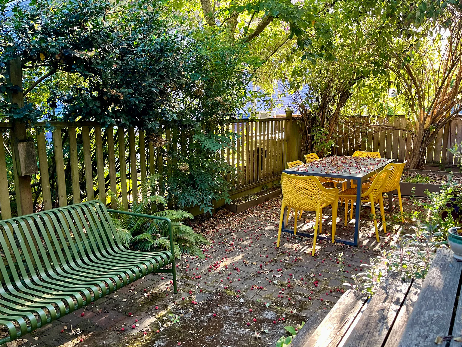 3 bed, 1.5 bath, 1350 sqft, $3,300 — Photo 4