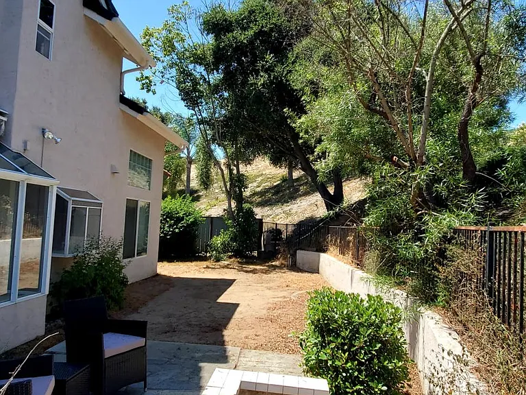 Backyard