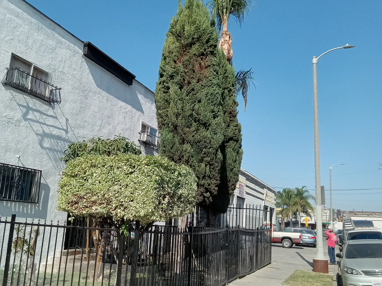 1 bed, 1000 sqft, $2,000 — Photo 1