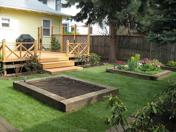 backyard, may 2009