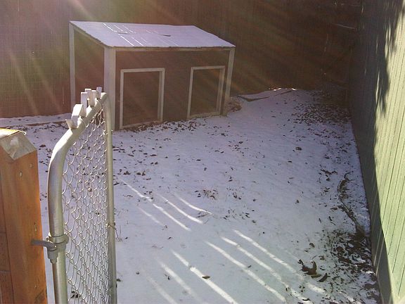 Avonlea Dogrun_06032016