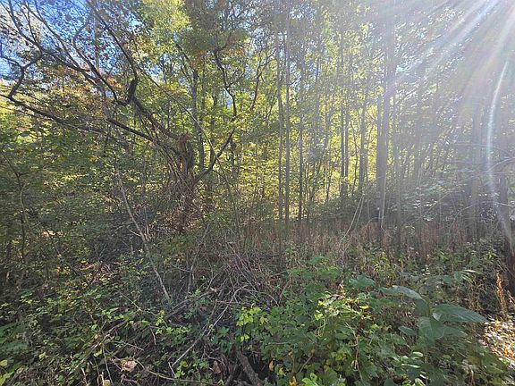 4th image of 12073 E Lucky Point Rd